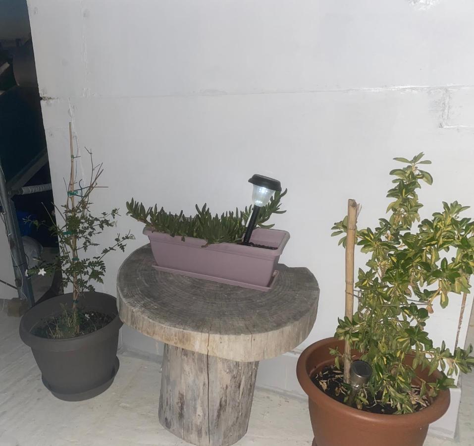 ホテル Dioni ハニア エクステリア 写真